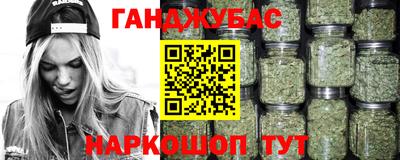 прущие грибы Будённовск