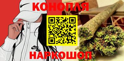 прущие грибы Будённовск