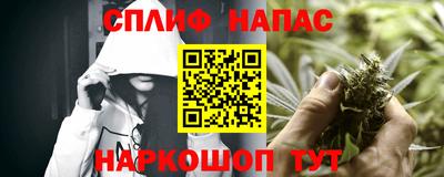 прущие грибы Будённовск