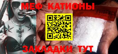 прущие грибы Будённовск