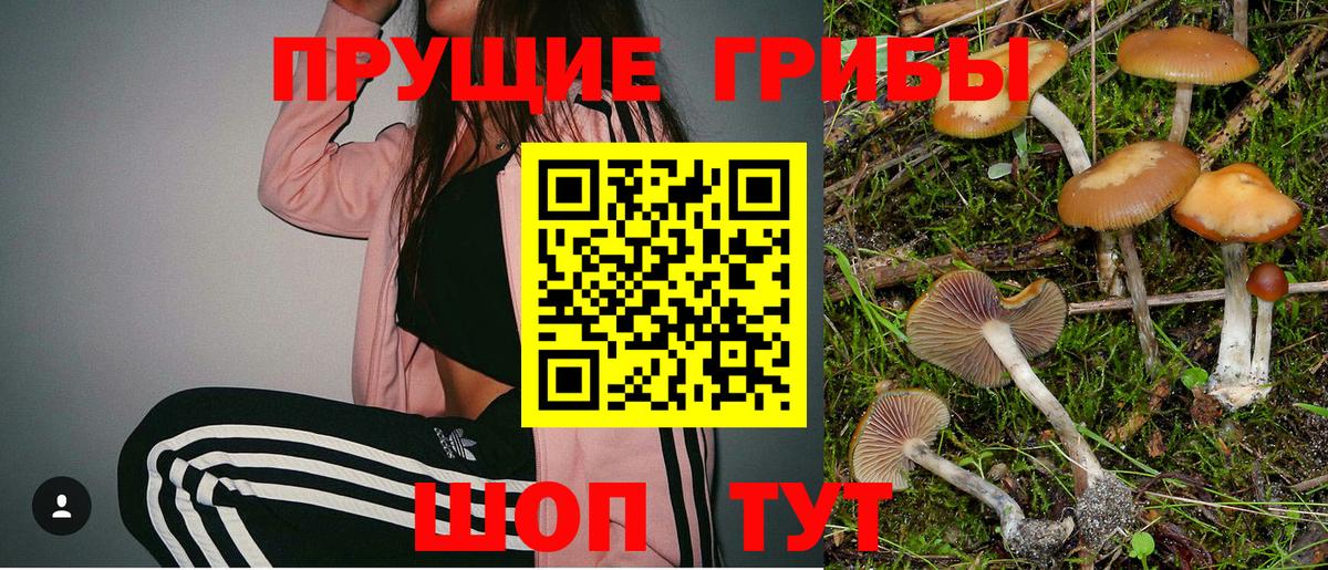 Галлюциногенные грибы прущие грибы Мытищи