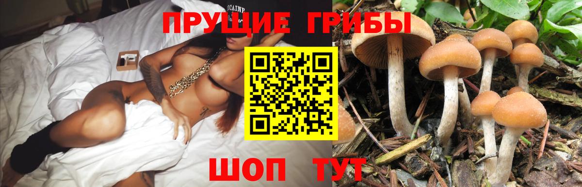 Мытищи  Галлюциногенные грибы MAGIC MUSHROOMS  Вход с VPN  как найти закладки  Галлюциногенные грибы MAGIC MUSHROOMS 